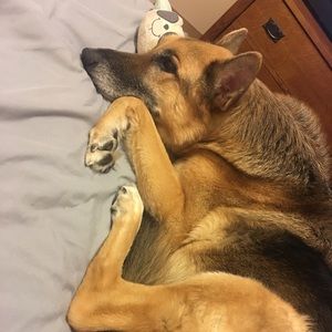 Meet your Posher, Mary